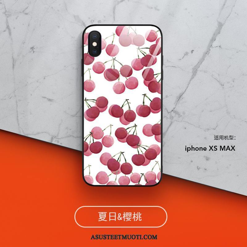 iPhone Xs Max Kuoret Murtumaton Kuori Kustannukset Pieni Suojaus